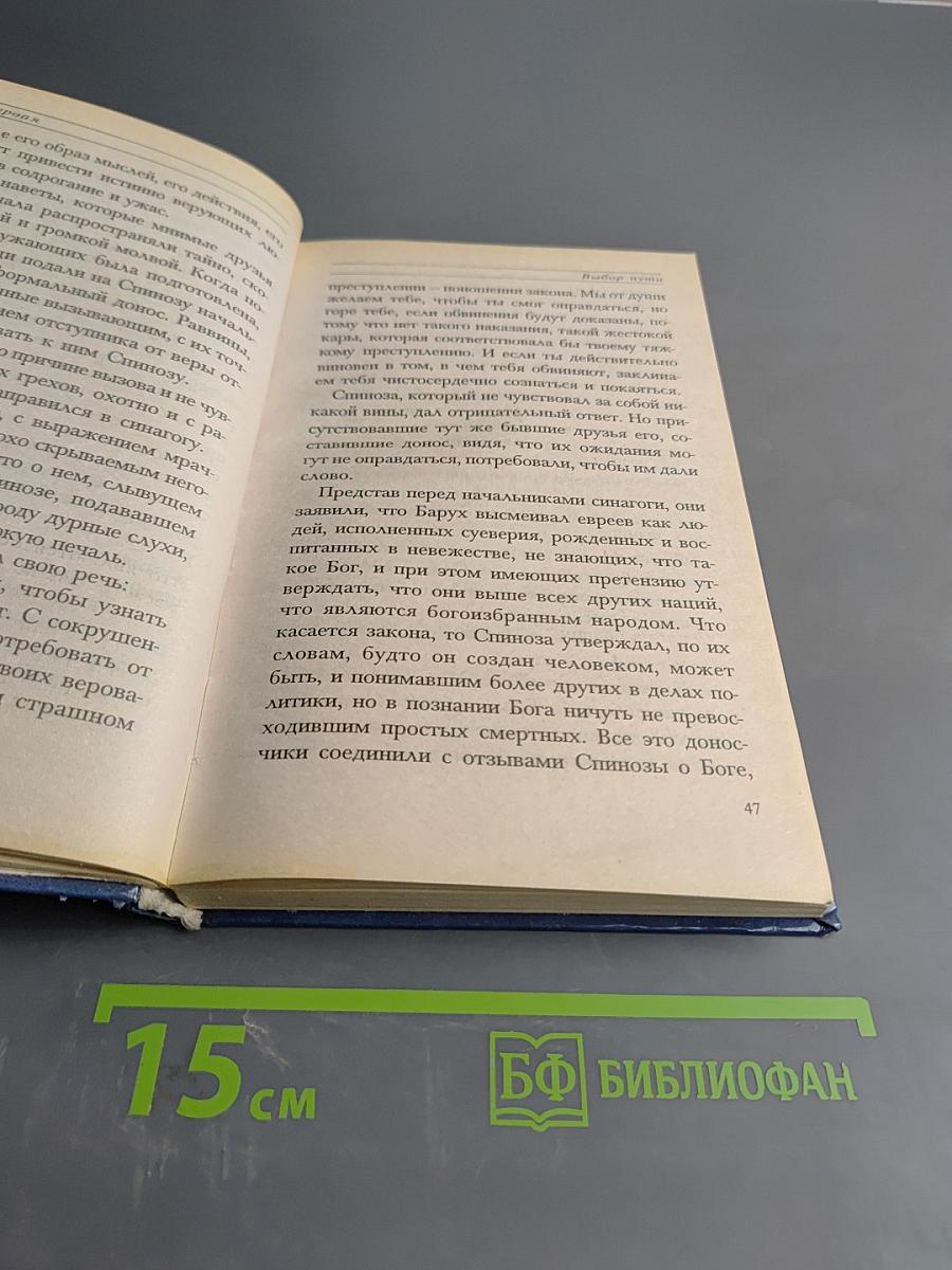 Спиноза. Жизнь мудреца