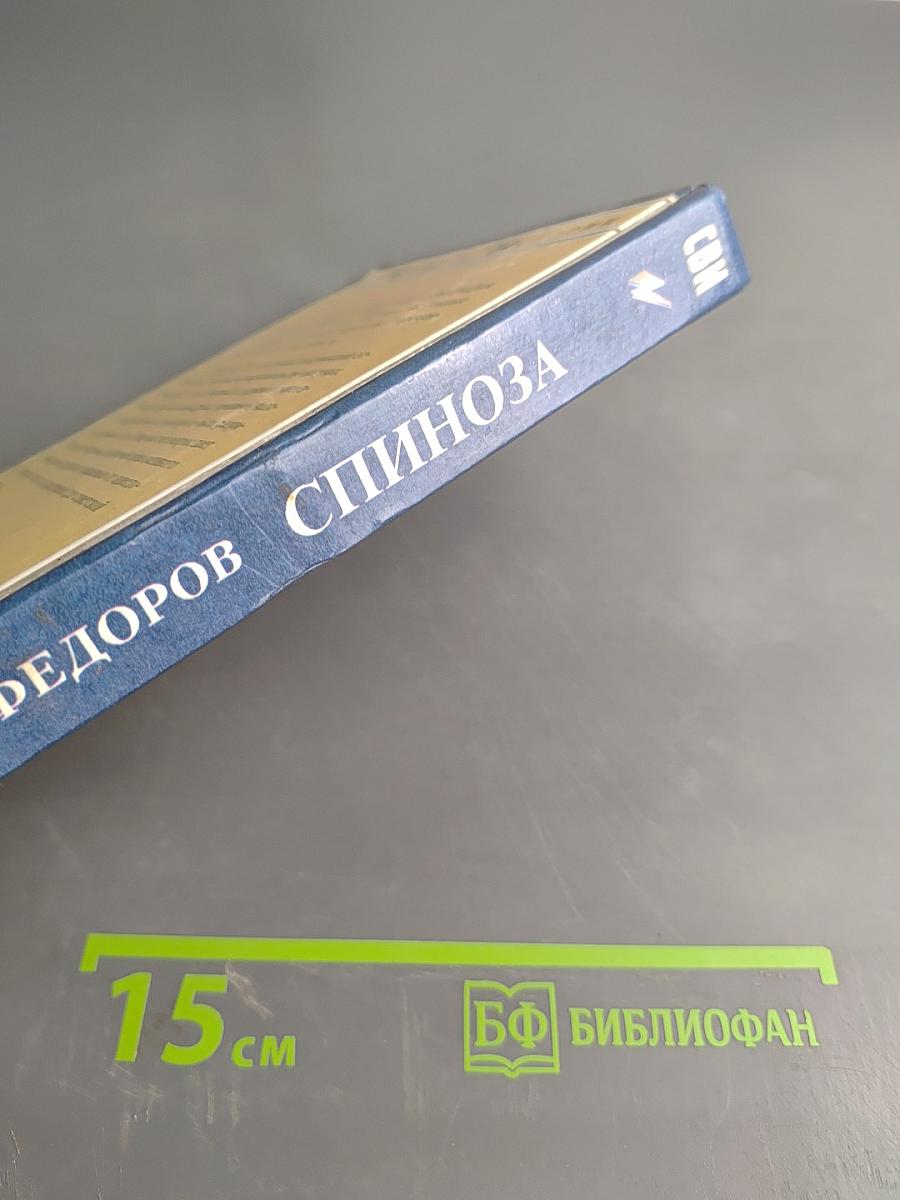 Спиноза. Жизнь мудреца