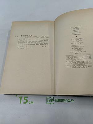 Андрей Печерский. В лесах. Книга первая