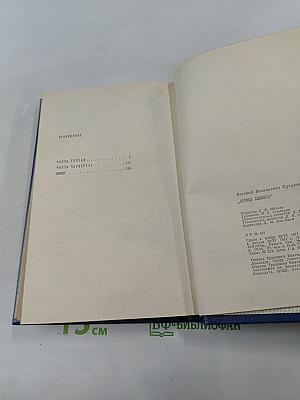 Вечные хлопоты. Книга вторая