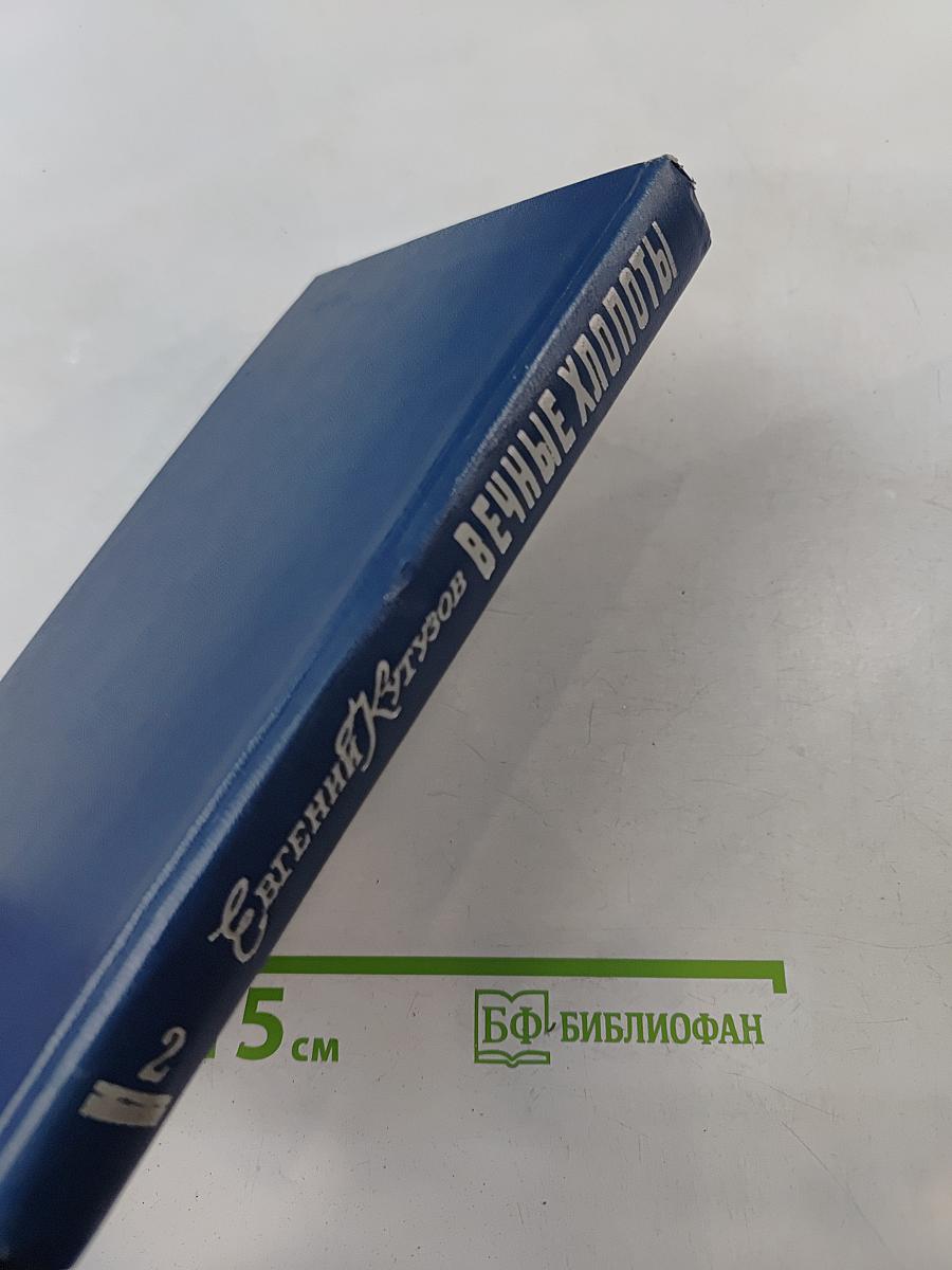 Вечные хлопоты. Книга вторая