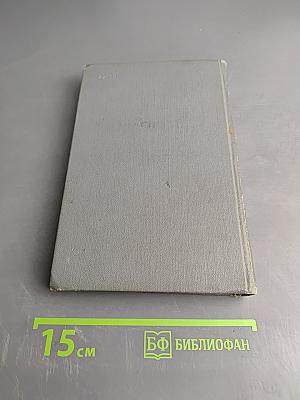 Жизнь и любовь