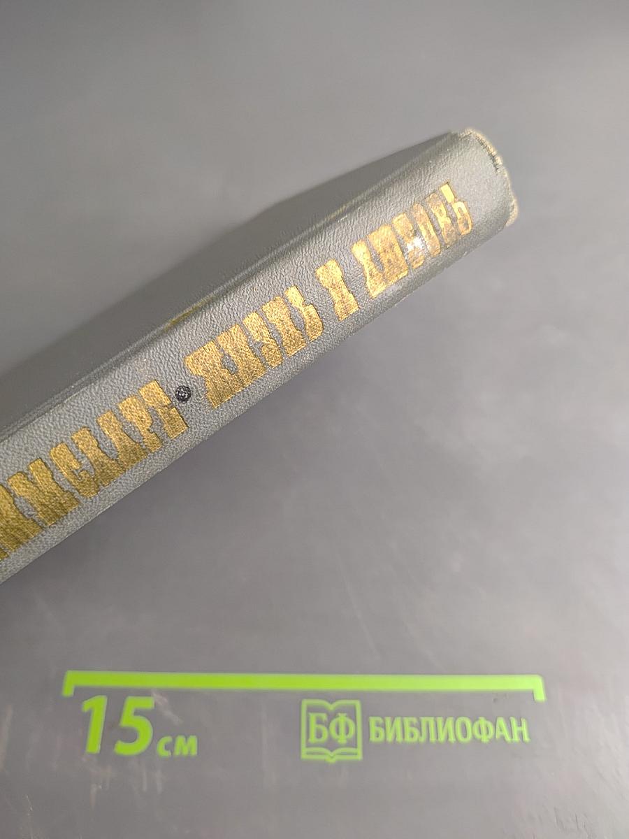 Жизнь и любовь