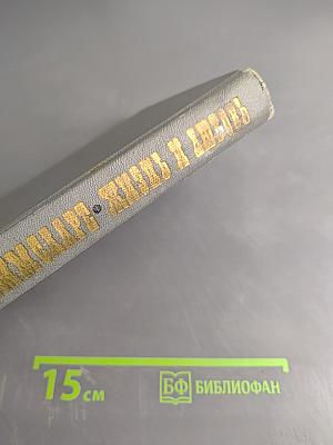 Жизнь и любовь