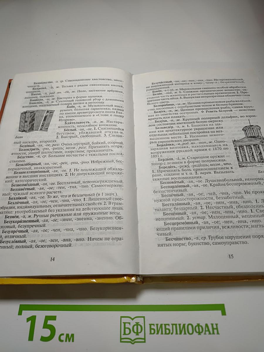 Толковый словарь русского языка