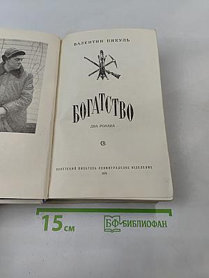 Богатство. Два романа