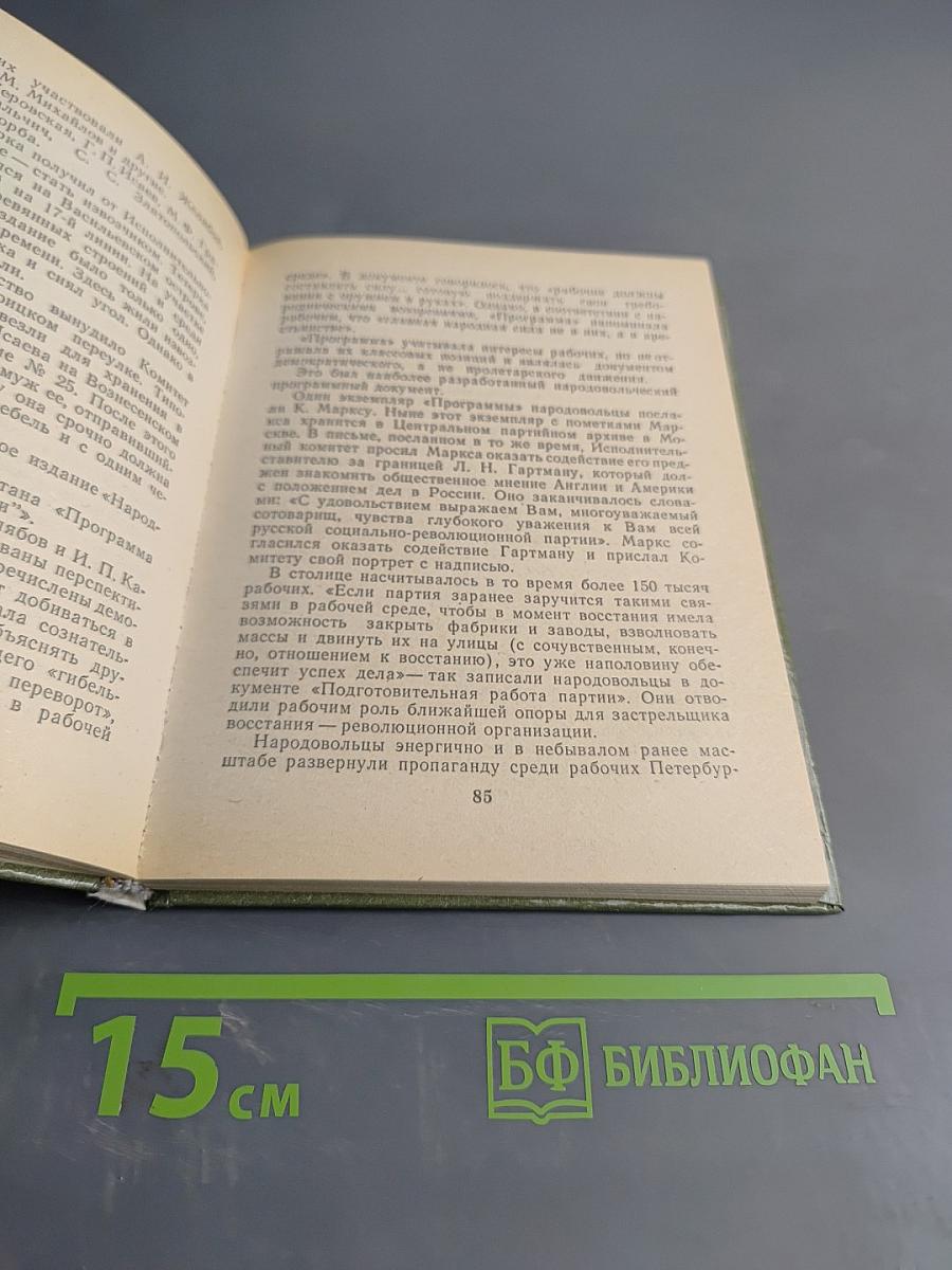 Народовольцы в Петербурге