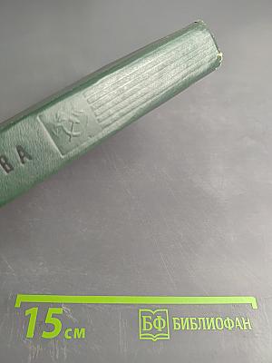 Кружелица. Спутники