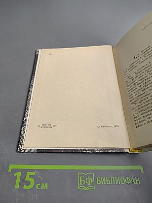 Мусоргский в Петербурге