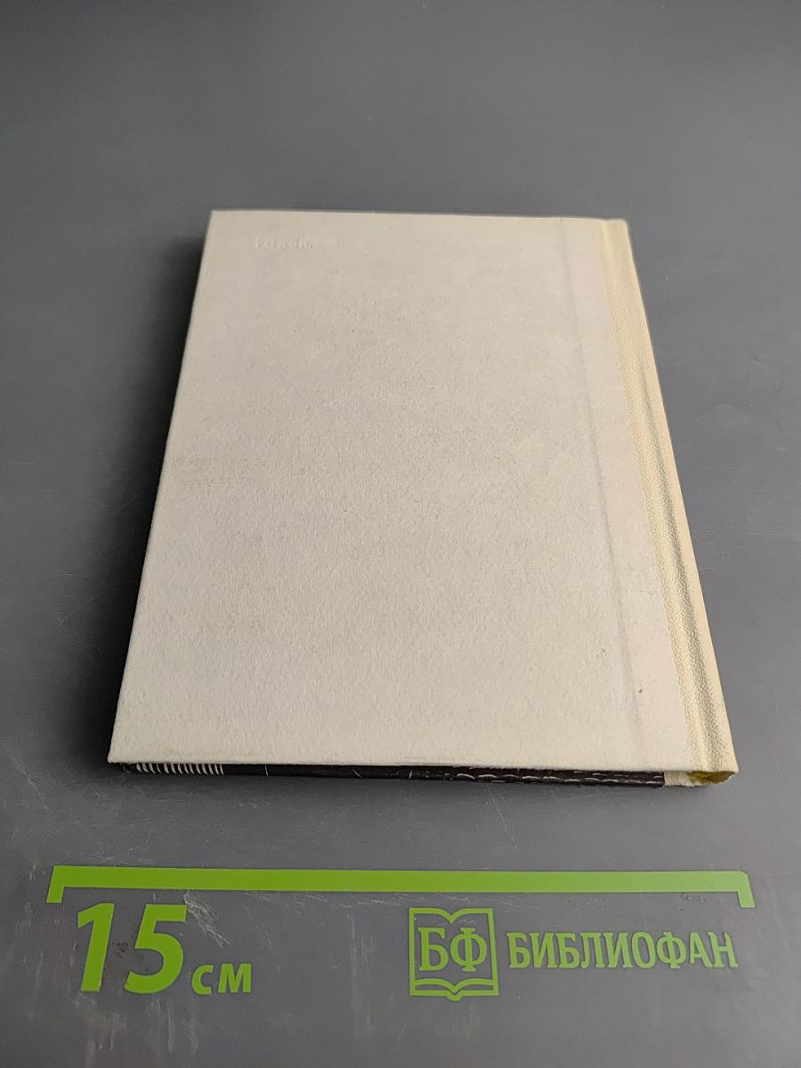 Мусоргский в Петербурге