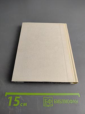 Мусоргский в Петербурге