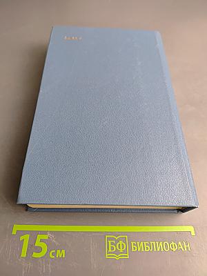 Далекий век