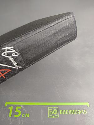 Живые и мертвые. Из записок Лопатина. Повести. Том четвертый