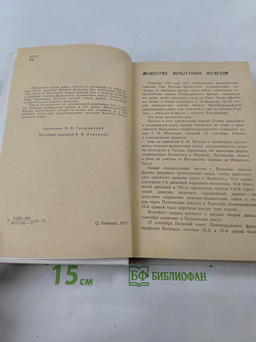 Невский пятачок