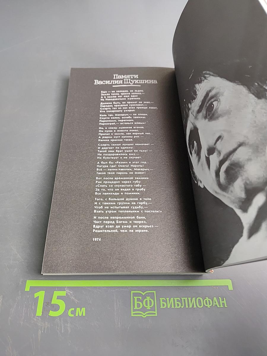 Владимир Высоцкий в кино