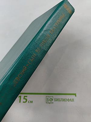 Сын великой Екатерины. Император Павел I. Его жизнь, царствование и смерть 1754-1801