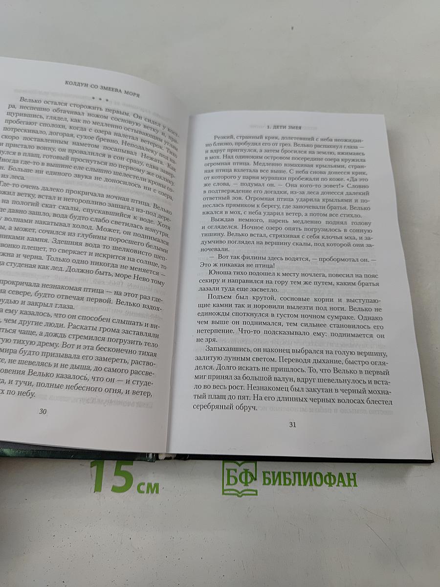 Дети Змея. Книга 1. Колдун со Змеева моря