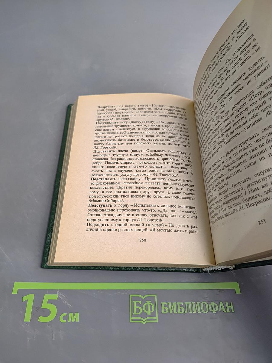 Фразеологический словарь русского языка для школьников