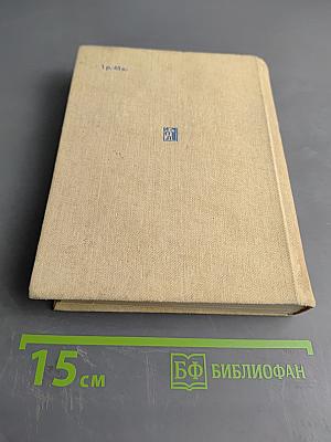 Кавалер Сен-Жюст