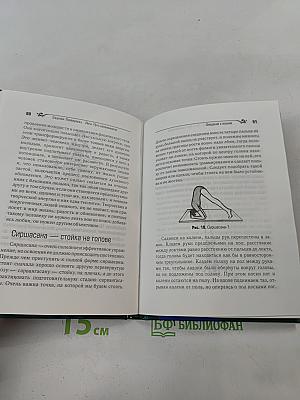 Йога. Путь осознанности