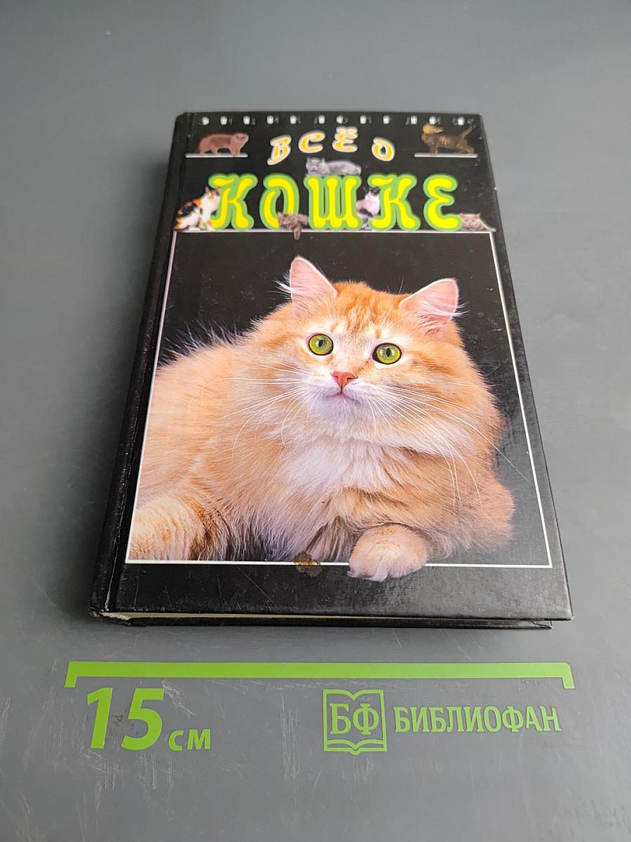Всё о кошке