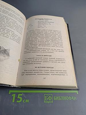 Всё о кошке