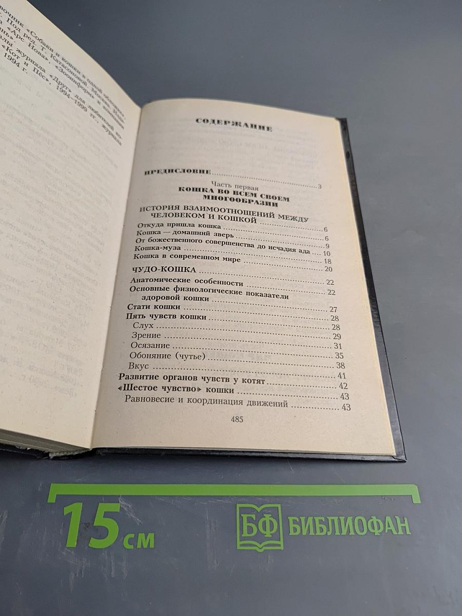 Всё о кошке