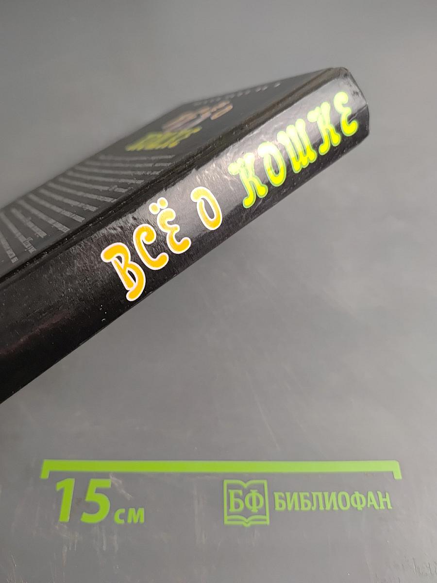 Всё о кошке