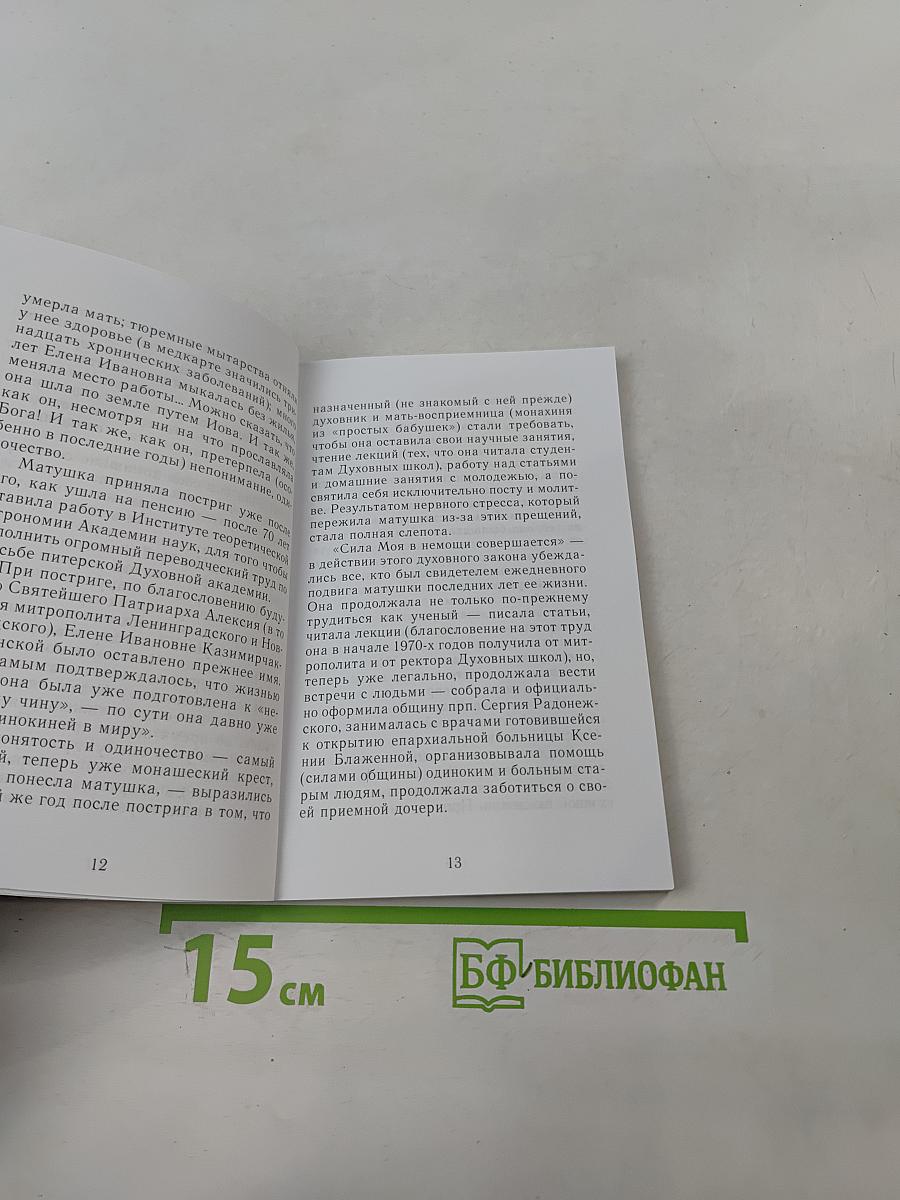 Святой благоверный князь Александр Невский