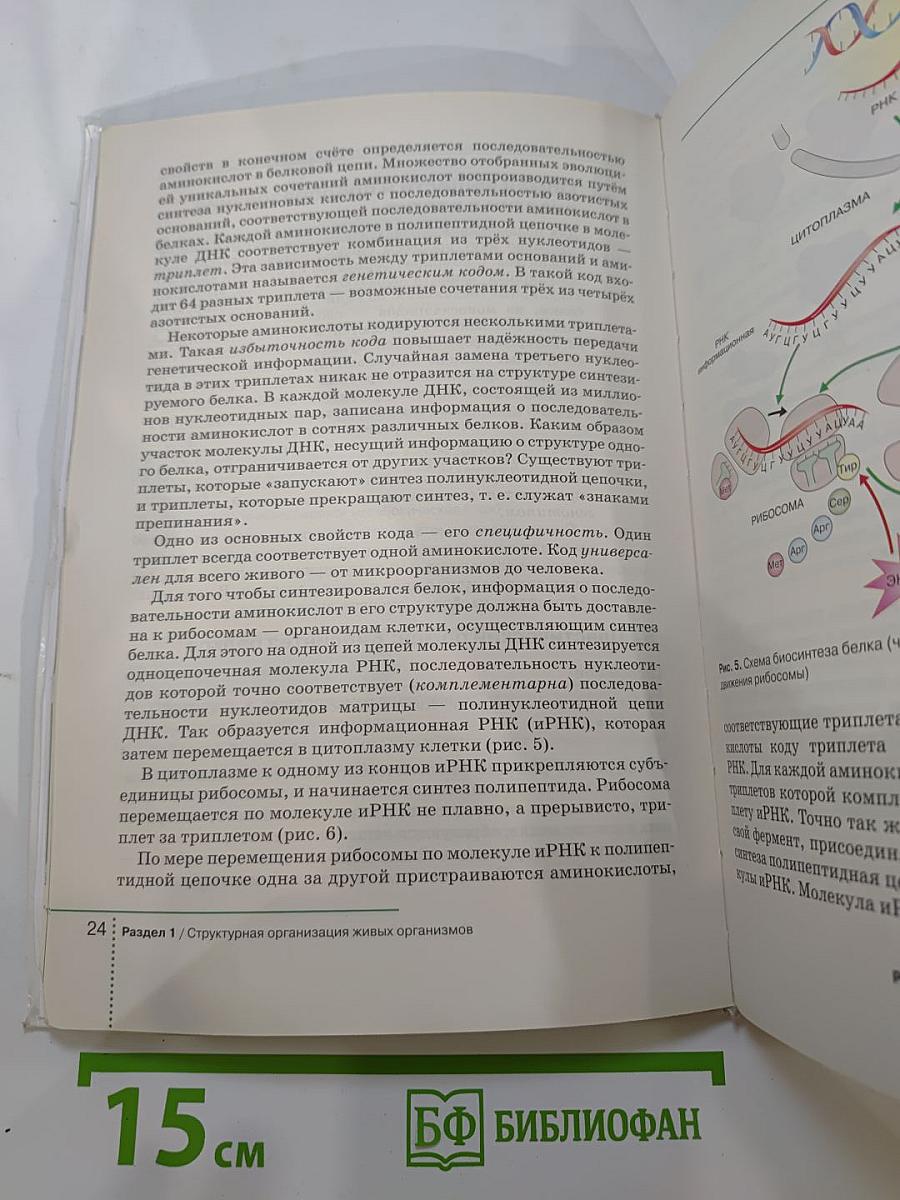 Биология. Общие закономерности. 9 класс