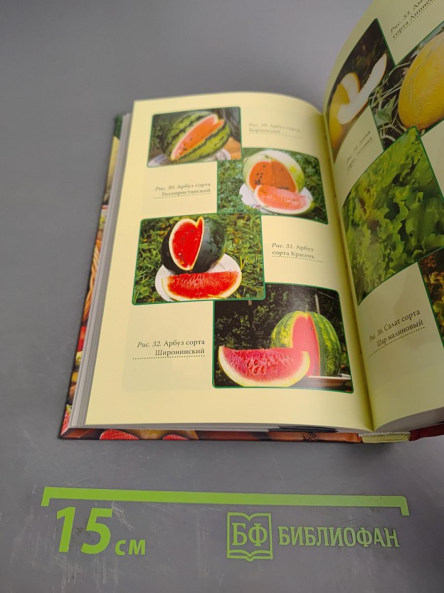 Все об устройстве теплиц, парников, пленочных укрытий, оранжерей. Выбор участка. Чертежи и схемы. Освещение, обогрев и вентиляция