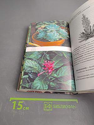 Все о комнатных растениях