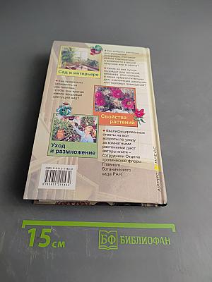 Все о комнатных растениях