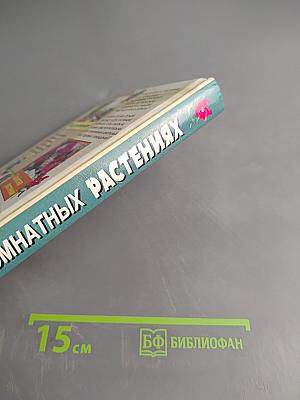 Все о комнатных растениях