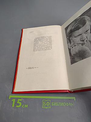 Дожить до рассвета. Обелиск