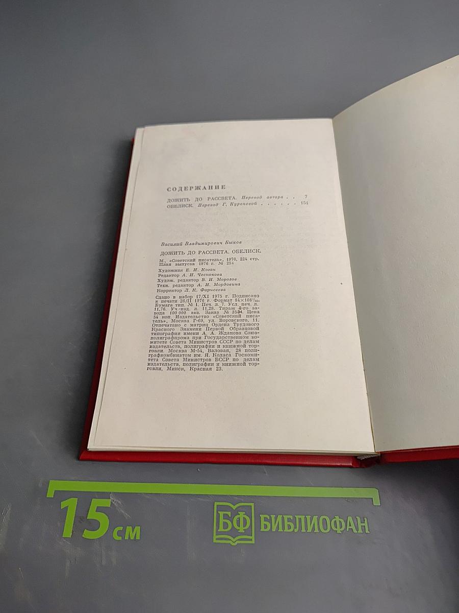 Дожить до рассвета. Обелиск