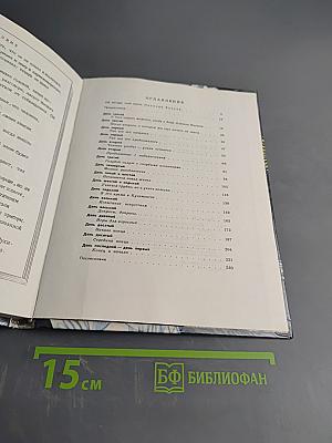 Карусели над городом