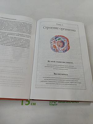 Биология. Человек. 8 класс