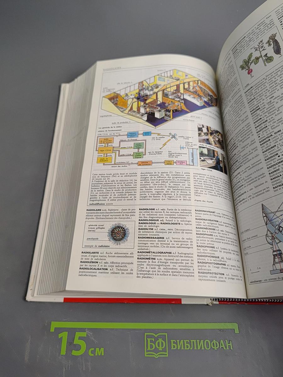 Le Petit Larousse Dictionnaire Encyclopédique en Couleurs