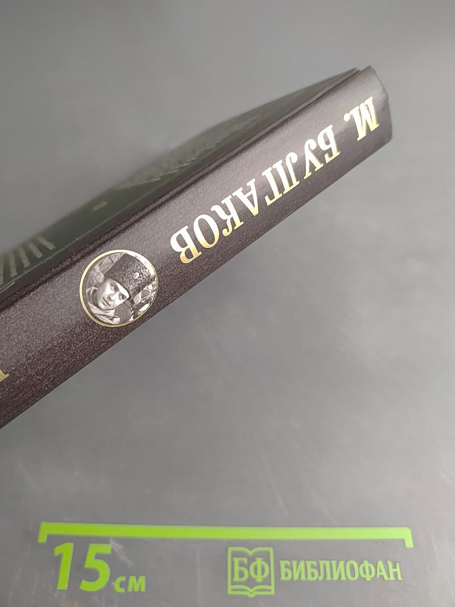 Бег. Белая гвардия