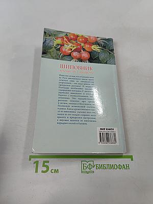 Шиповник. Лечение без лекарств