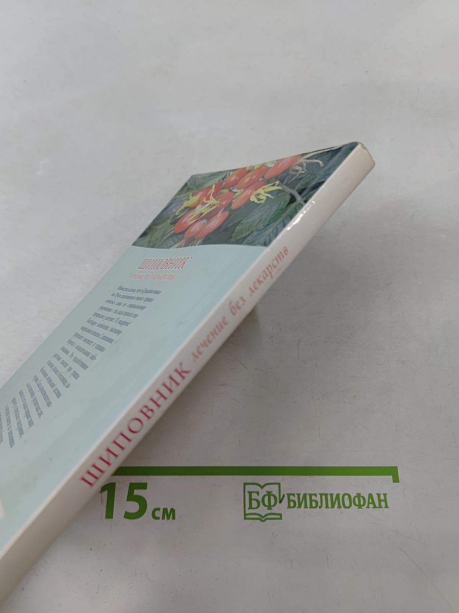 Шиповник. Лечение без лекарств