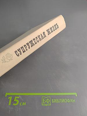 Супружеская жизнь