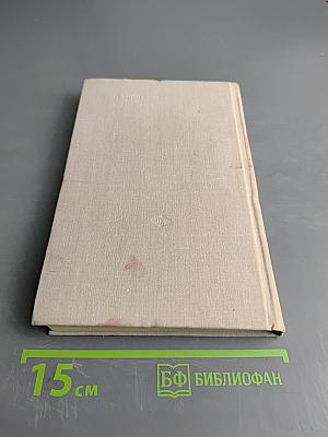 Праздничный стол