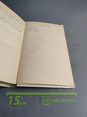 Буйная Кура