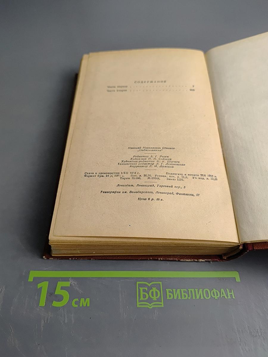 Поджигатели. Книга вторая