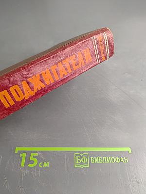 Поджигатели. Книга вторая