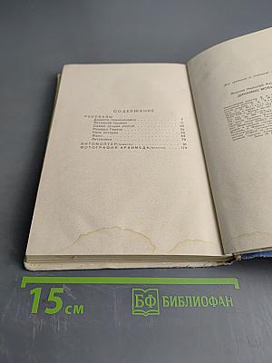 Динамис Мобилис