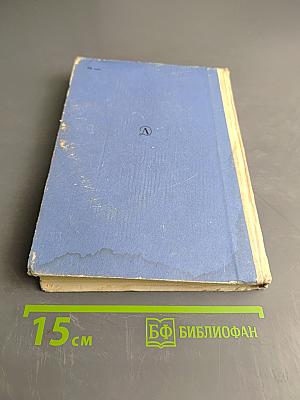 Динамис Мобилис