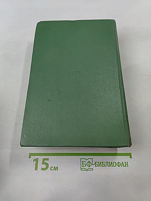 Браво, или Морская волшебница